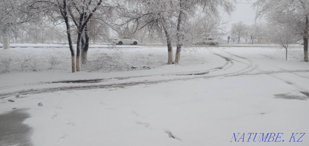 Сдам в аренду гараж  - изображение 4