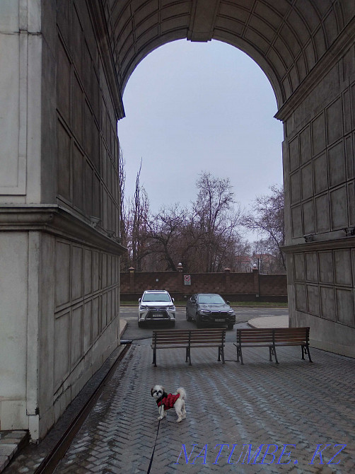 Parking Almaty - photo 2