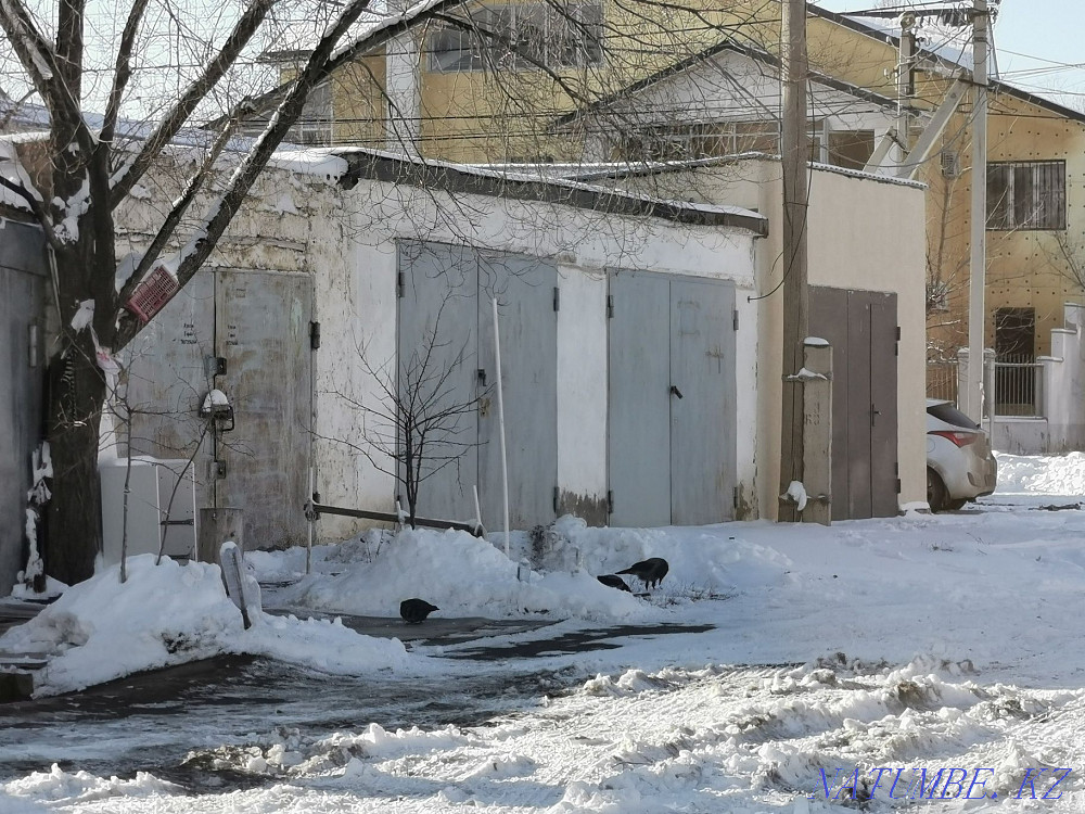 Аренда долгосрочная Атырау - изображение 4