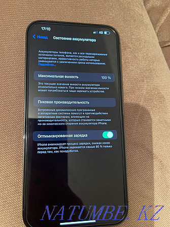 iPhone 13 pro max 1 tb Алматы - изображение 8