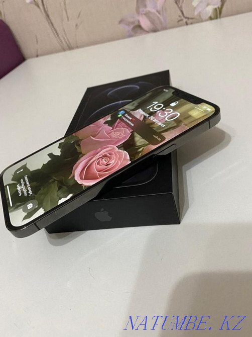 iPhone 12 PRO Max 256 GB Shymkent - photo 3