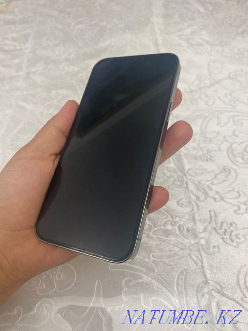 iPhone 12 PRO MAX 128 g Кызылорда - изображение 4