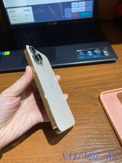 iPhone 13 Pro Max Aqtau - photo 4