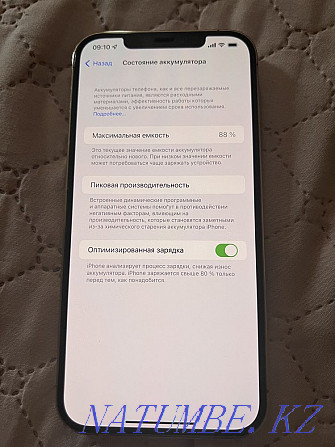 IPhone 12 pro max Абай - photo 3