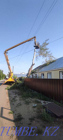 Спилим дерево сосна, берёза, клен, и тд, бензопилы , есть вывоз, Костанай - изображение 8