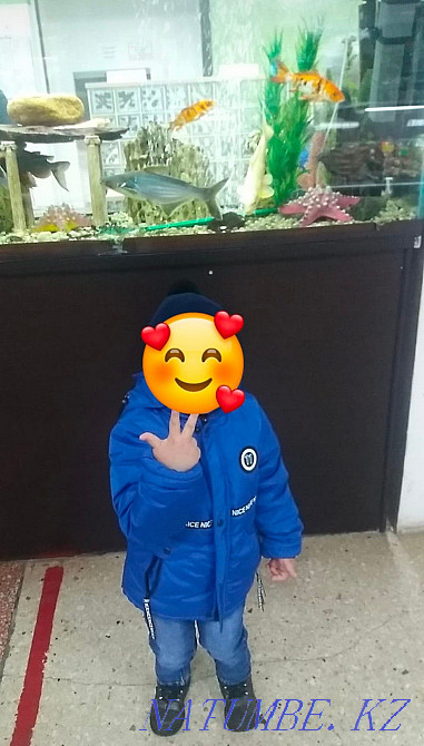 Продам детскую куртку на весну-осень Петропавловск - изображение 2