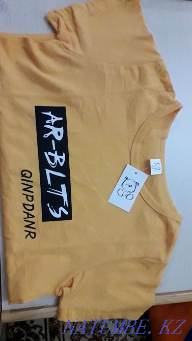 Детская двойка шорты и футболка Шымкент - изображение 2