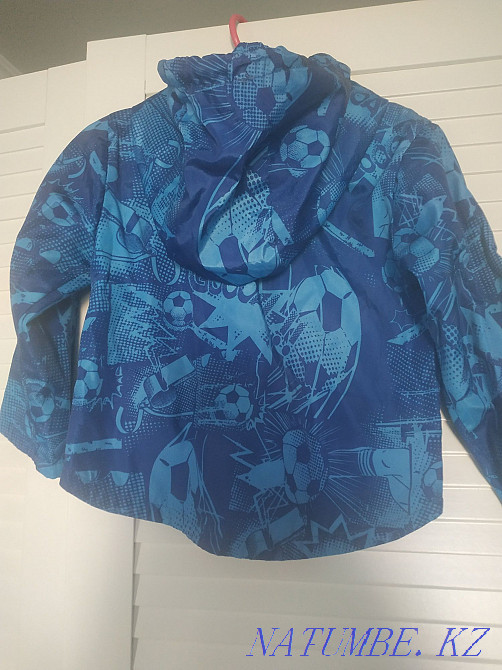 2-3 жылға арналған жел қорғағыш  Қостанай  - изображение 2