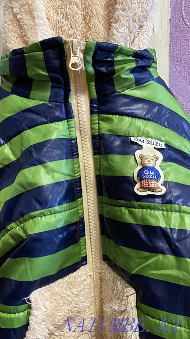 Продам яркую демисезонную курточку Павлодар - изображение 2