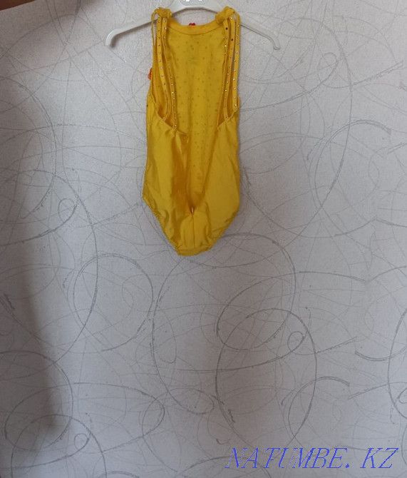 Платья для бальников рейтинговые. Балуана Шолака - изображение 3