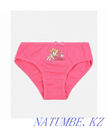 Panties for girls Paw Patrol Paw Patrol set 3 pcs. Жумыскер - photo 5