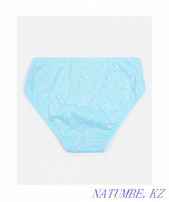 Трусики для девочки Paw Patrol Щенячий патруль комплект 3 шт. Жумыскер - изображение 4