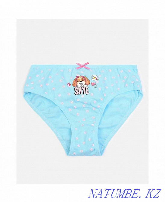 Трусики для девочки Paw Patrol Щенячий патруль комплект 3 шт. Жумыскер - изображение 3