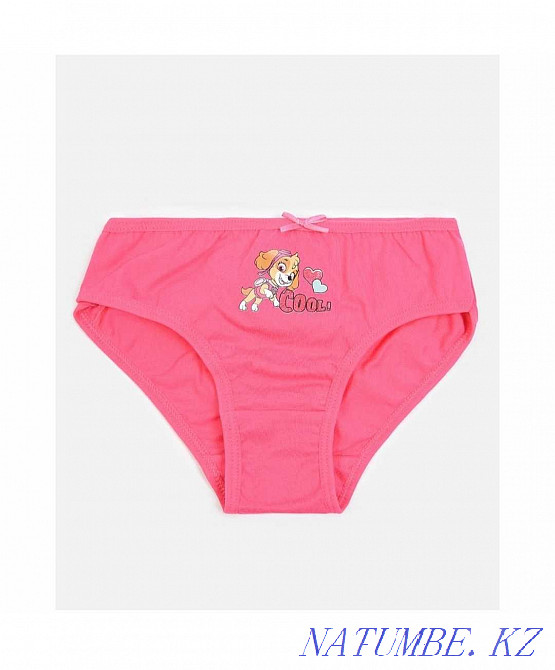 Трусики для девочки Paw Patrol Щенячий патруль комплект 3 шт. Жумыскер - изображение 5