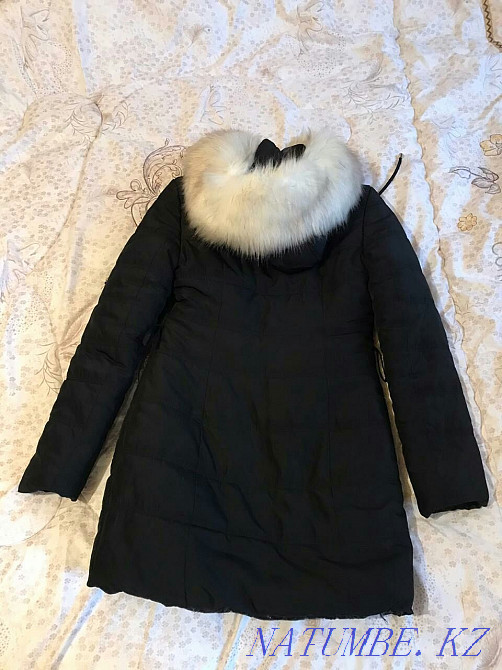 Куртки теплые зимние Шымкент - изображение 7