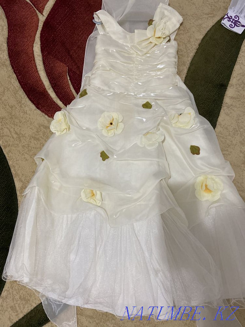 Бальные платья Большой чаган - изображение 6