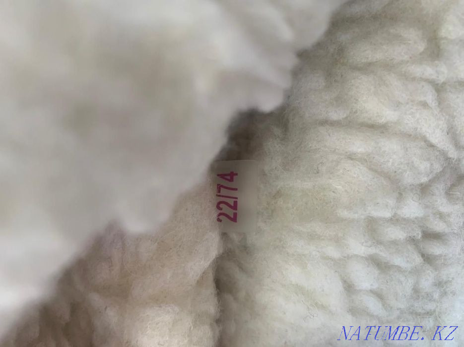 Зимний комбенизон. Караганда - изображение 2