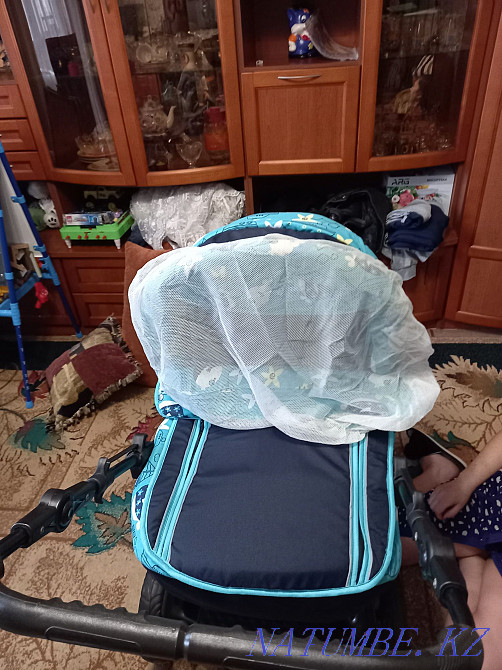 Коляска зима лето  - изображение 5