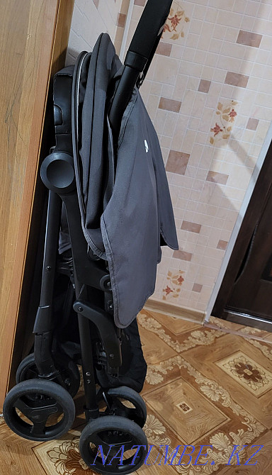 Коляска для двойни или погодок Муткенова - изображение 4