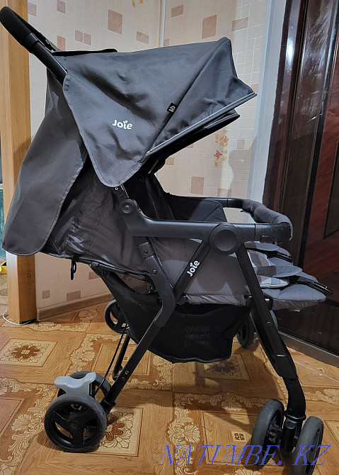 Коляска для двойни или погодок Муткенова - изображение 2