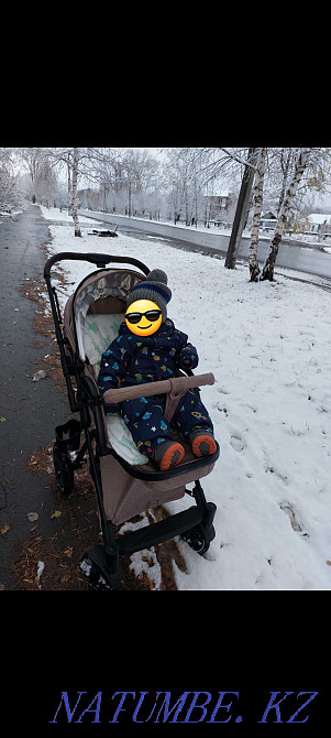 Арбаның салмағы жеңіл, тұтқасы қайтымды!  - изображение 2