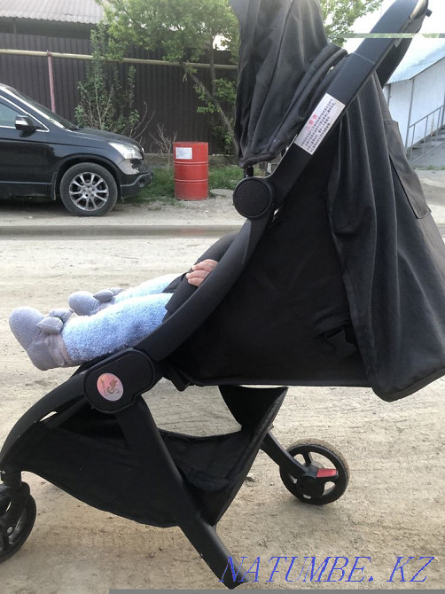 Коляска прогулочная Абай - изображение 1