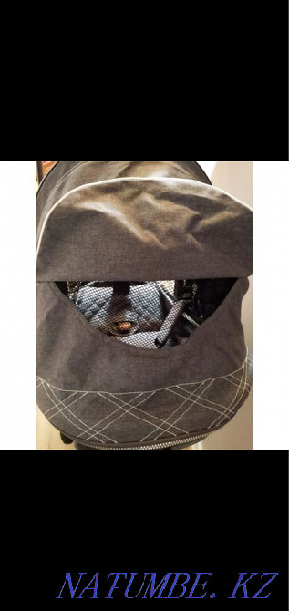 Stroller Teknum 512 gray - Excellent condition, final price Ekibastuz - photo 6