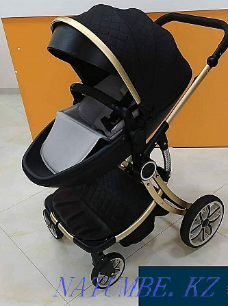 Аробачаи Voondo Egg 2in1 Black  - photo 2