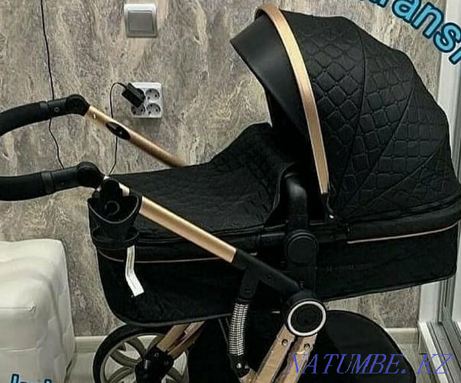 Аробачаи Voondo Egg 2in1 Black  - photo 4