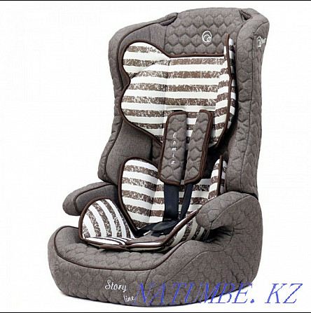 Car seat 9-36 kg Astana - photo 3