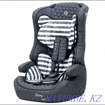 Car seat 9-36 kg Astana - photo 1