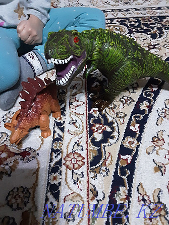 Dinosaurs Tirex and Stegosaurus Shymkent - photo 5