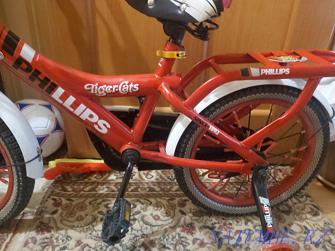 Велосипед детский Тельмана - изображение 5