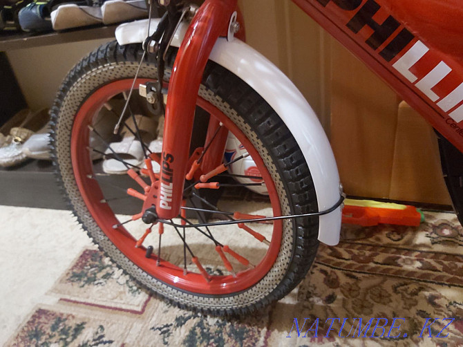 Балалар велосипеді Тельмана - изображение 4