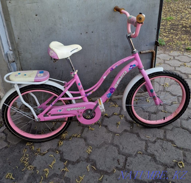 Балалар велосипеді Чапаево - изображение 1