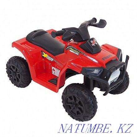 electric quad bike Almaty - photo 3