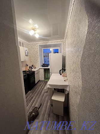 1-room apartment Pavlodar - photo 11