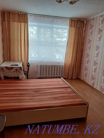 1-комнатная квартира Павлодар - изображение 2