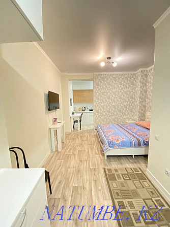  apartment with hourly payment Almaty - photo 1