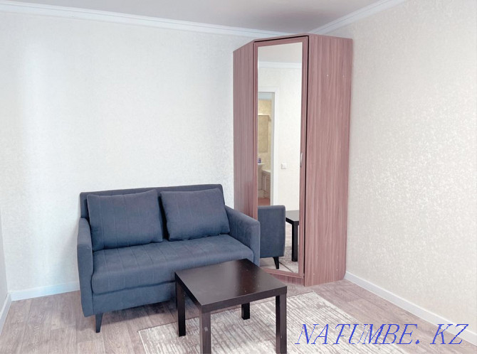  apartment with hourly payment Karagandy - photo 2