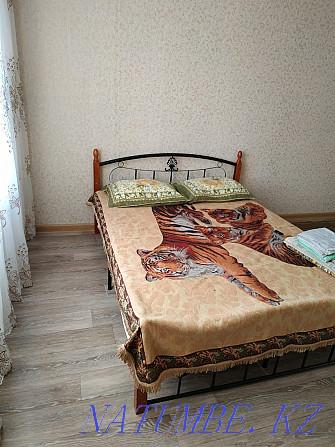  квартиру с почасовой оплатой Павлодар - изображение 6