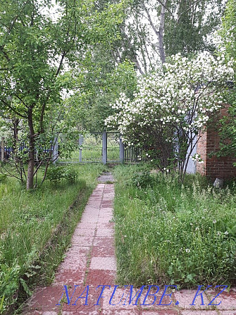 Cottage for sale outside the village of Mamai Batyr (Vasilievka). Ust-Kamenogorsk - photo 5
