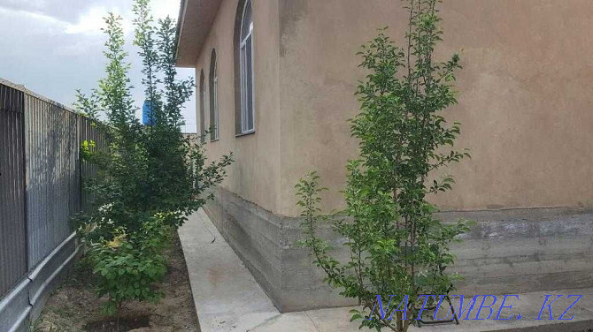  house Almaty - photo 12