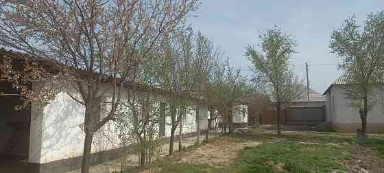  дом Turkestan