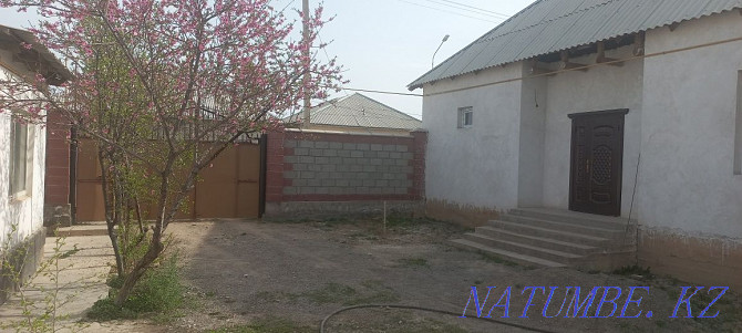 дом Туркестан - изображение 3
