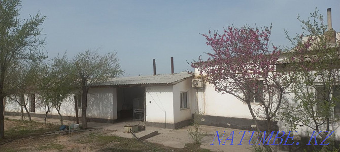 дом Туркестан - изображение 2