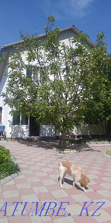  дом Алматы - изображение 1