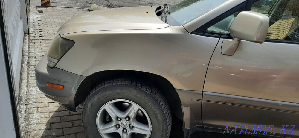 Рх зоо год 98 находу Алматы - изображение 7