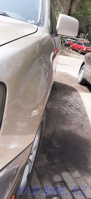 Рх зоо год 98 находу Алматы - изображение 4