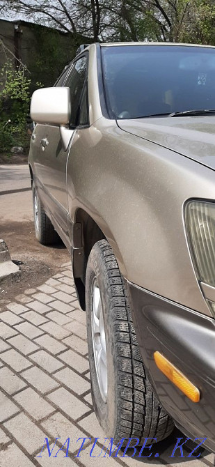 Рх зоо год 98 находу Алматы - изображение 3